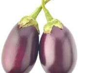 Large Brinjal/Baigan - 500gm